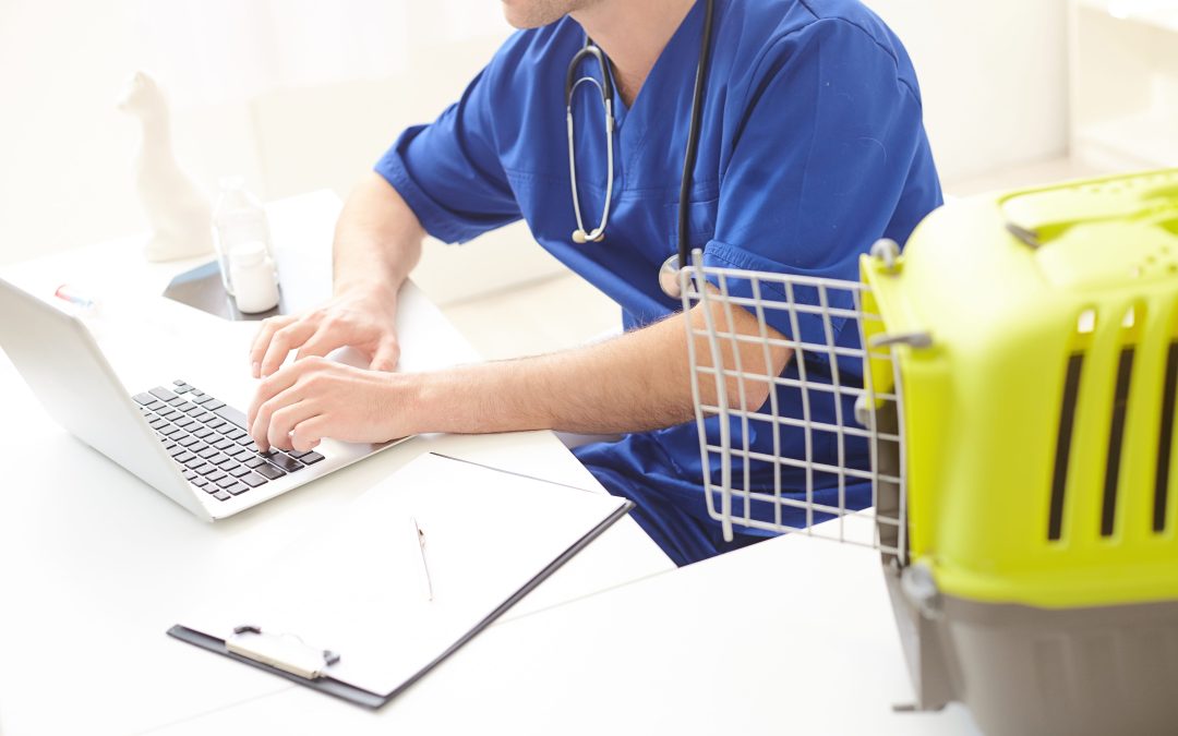 Cybersecurity in Veterinary Clinics: Why It’s Not Just About Pet Records