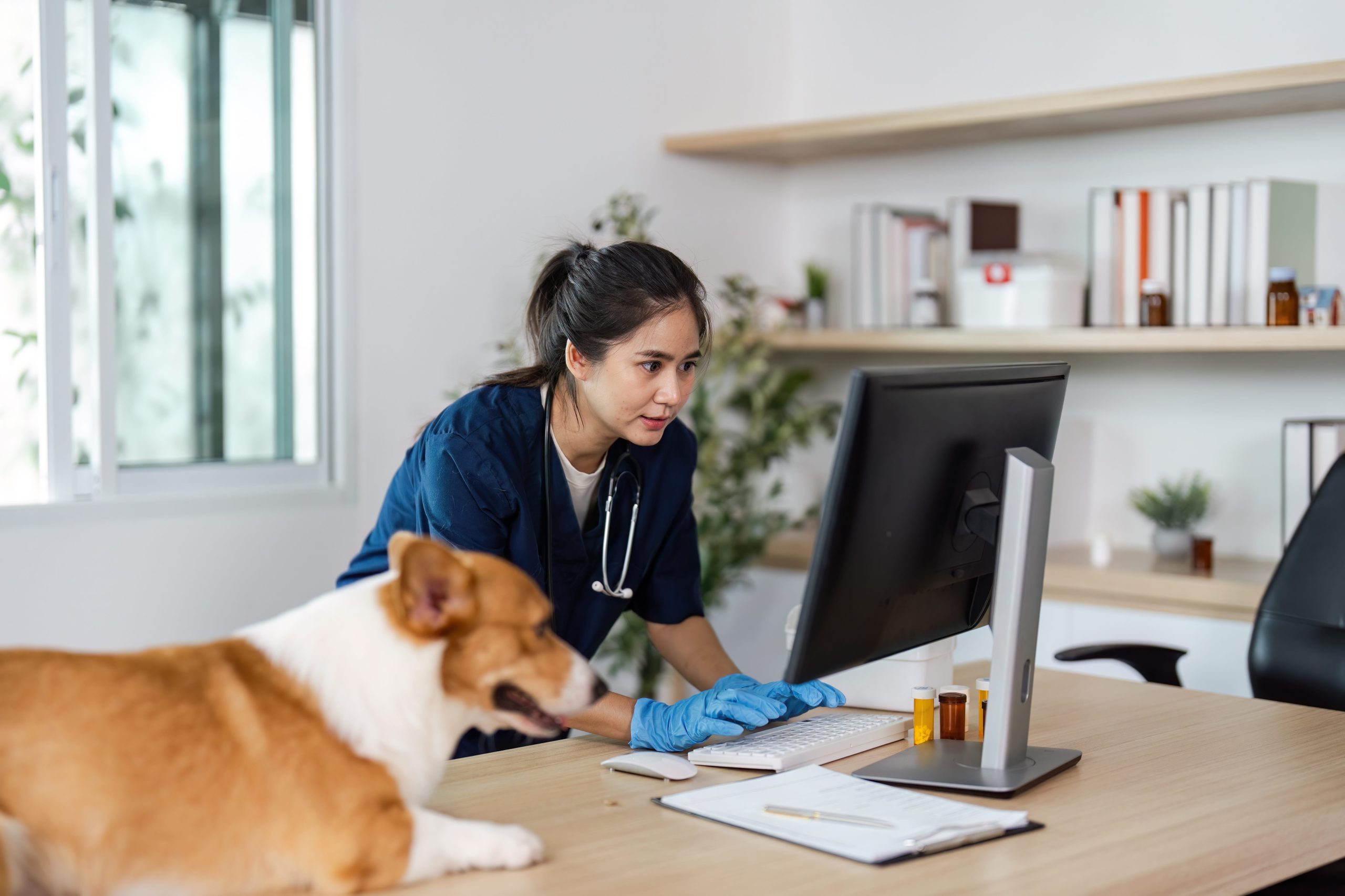 Veterinary office computer company in US