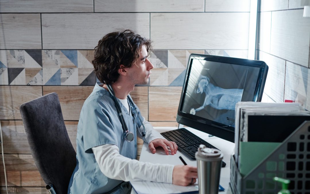 Signs Your Veterinary IT Provider Is Failing Your Clinic