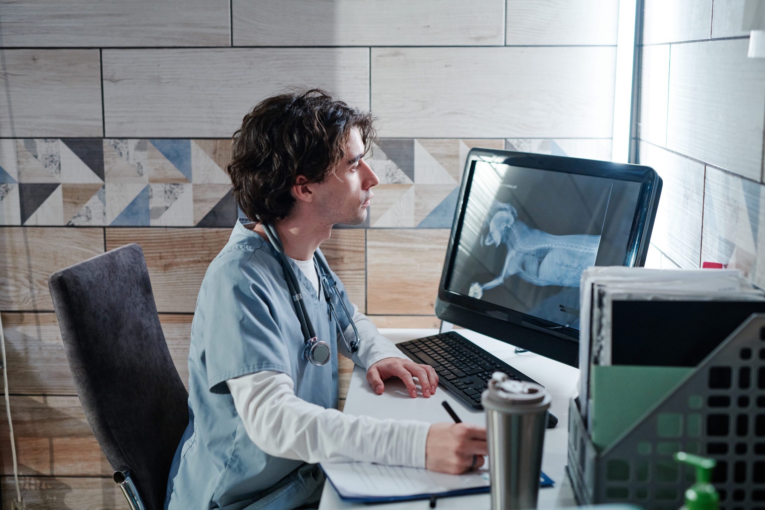 Veterinarian IT company in Texas