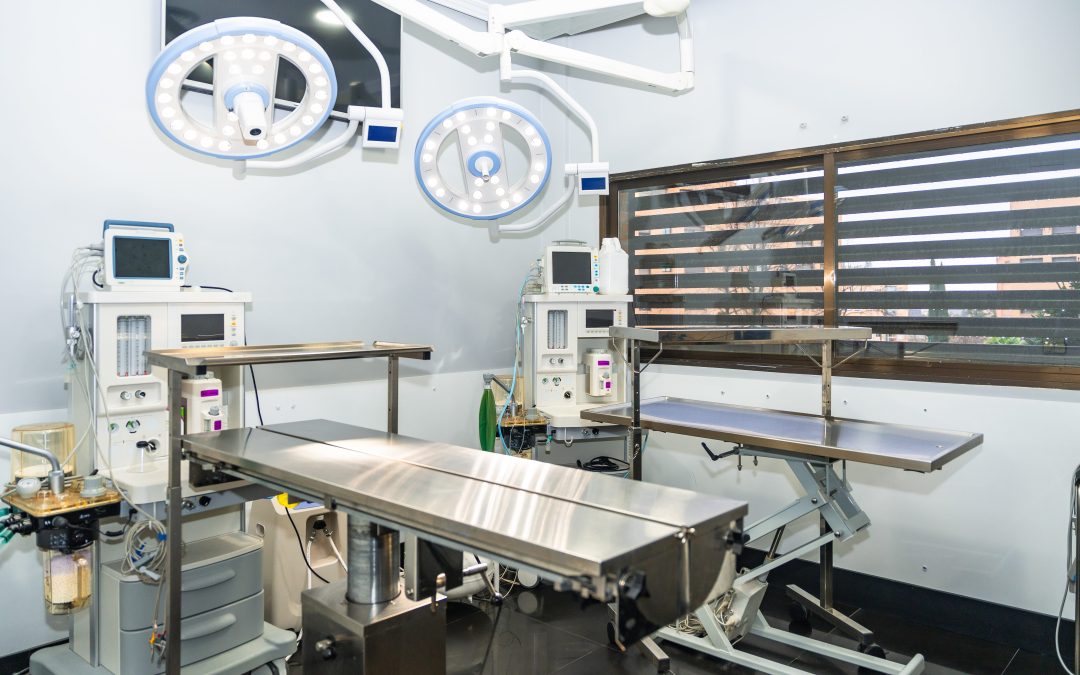What IT Systems Are Required to Launch a Veterinary Clinic?