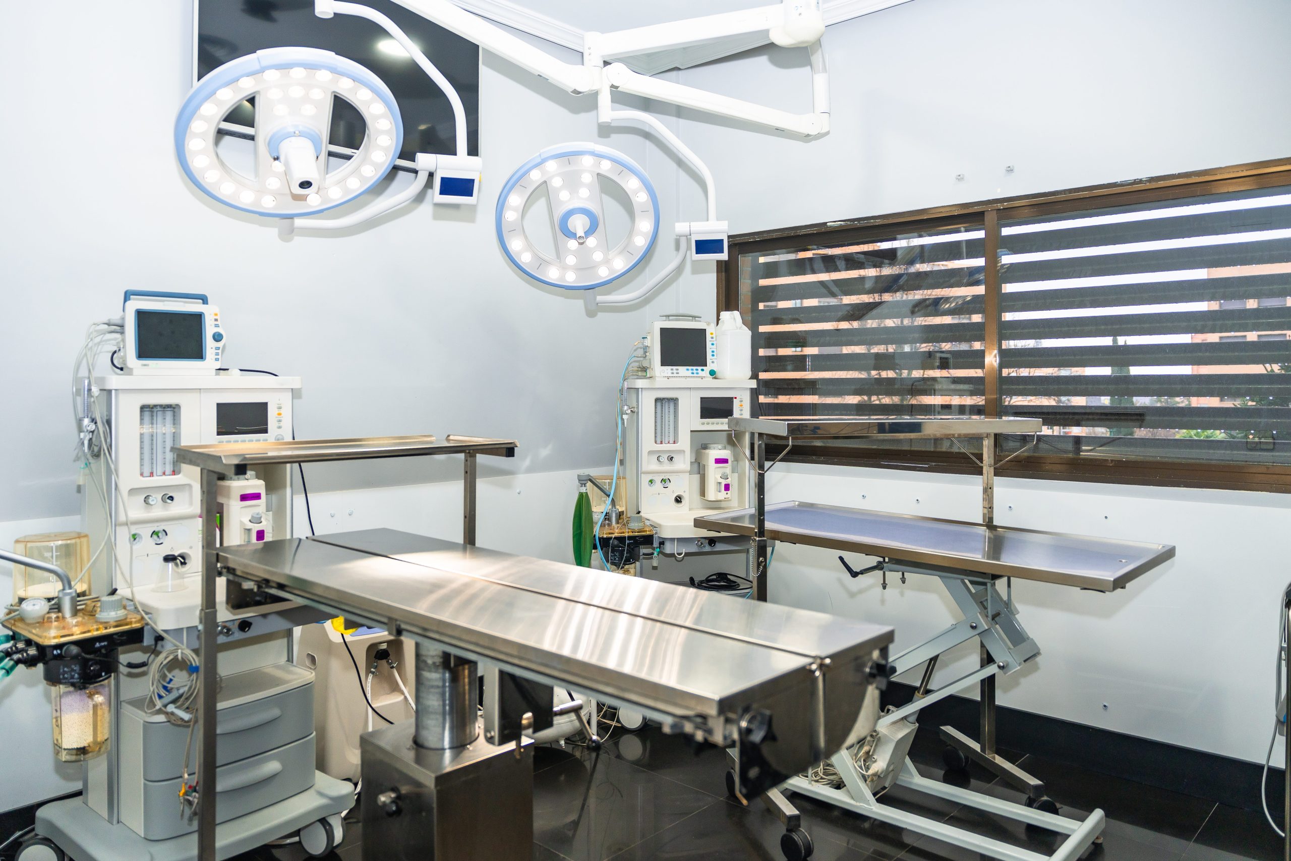 Vet IT setup company in Colorado