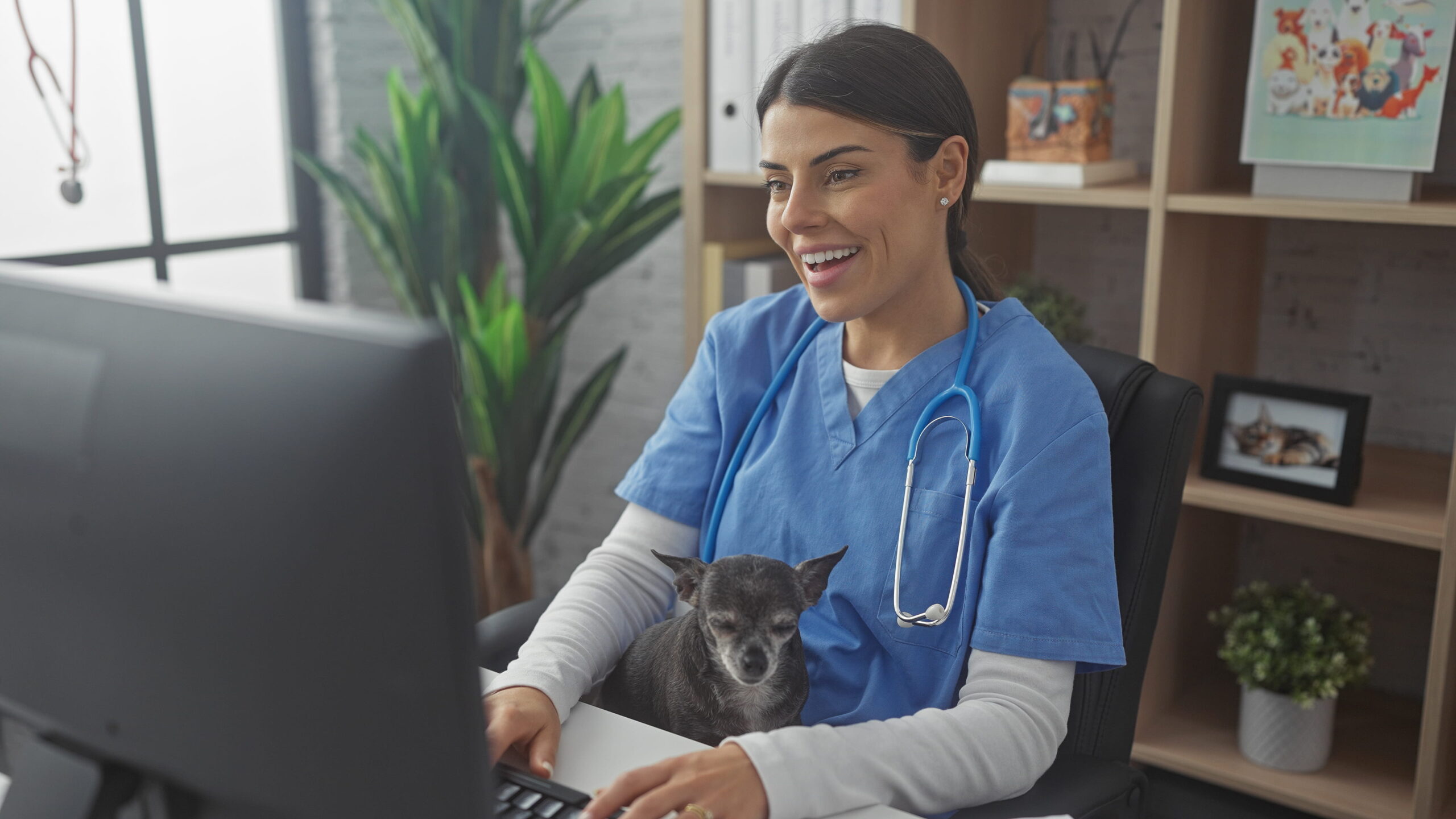 Vet office IT support in Colorado
