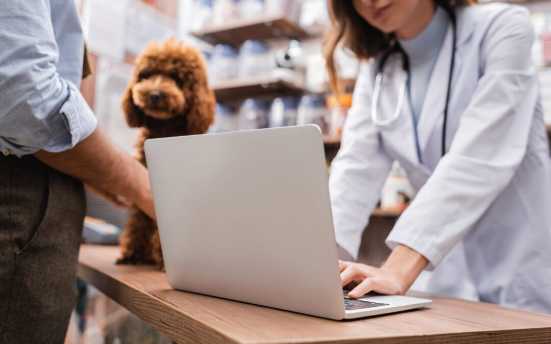 What Is the Process for Switching IT Providers for a Veterinary Clinic?