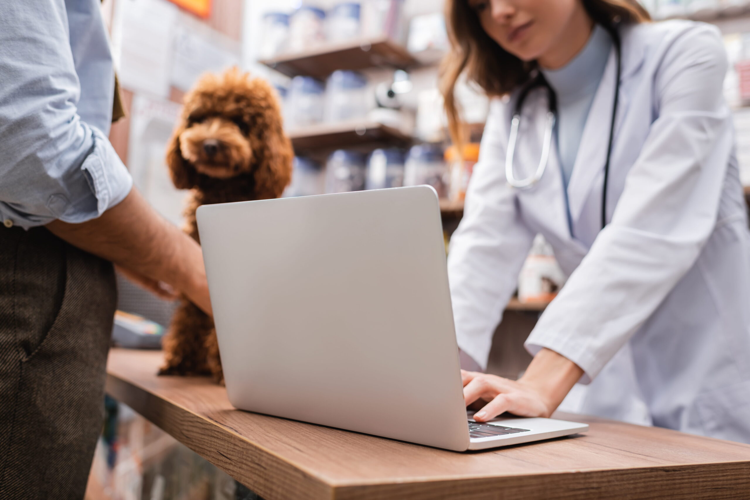 Vet IT support company in Colorado