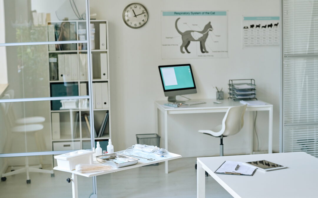 AI for Veterinary Clinics: Practical Uses That Improve Efficiency