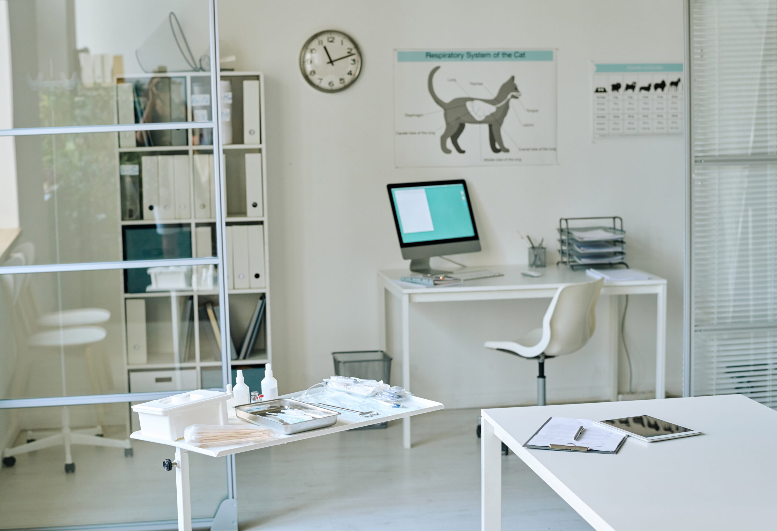 AI veterinary support in Colorado